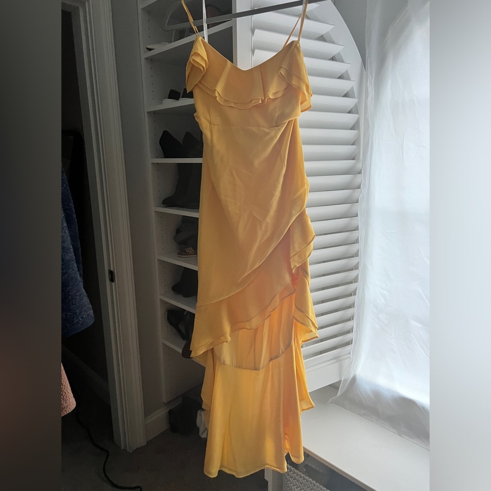 Revolve dress